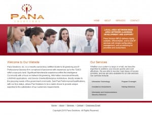 Pana Solutions | Before
