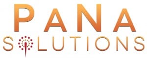 Pana Solutions Inc. | Technology Staffing Firm